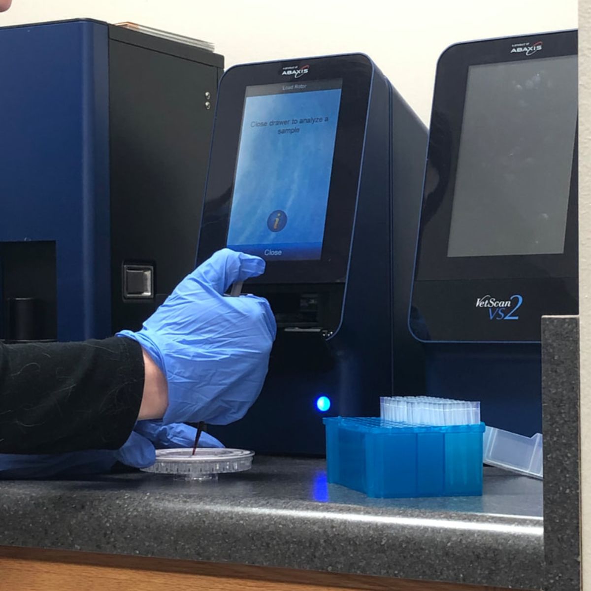 a vet in blue gloves touching a device on a counter