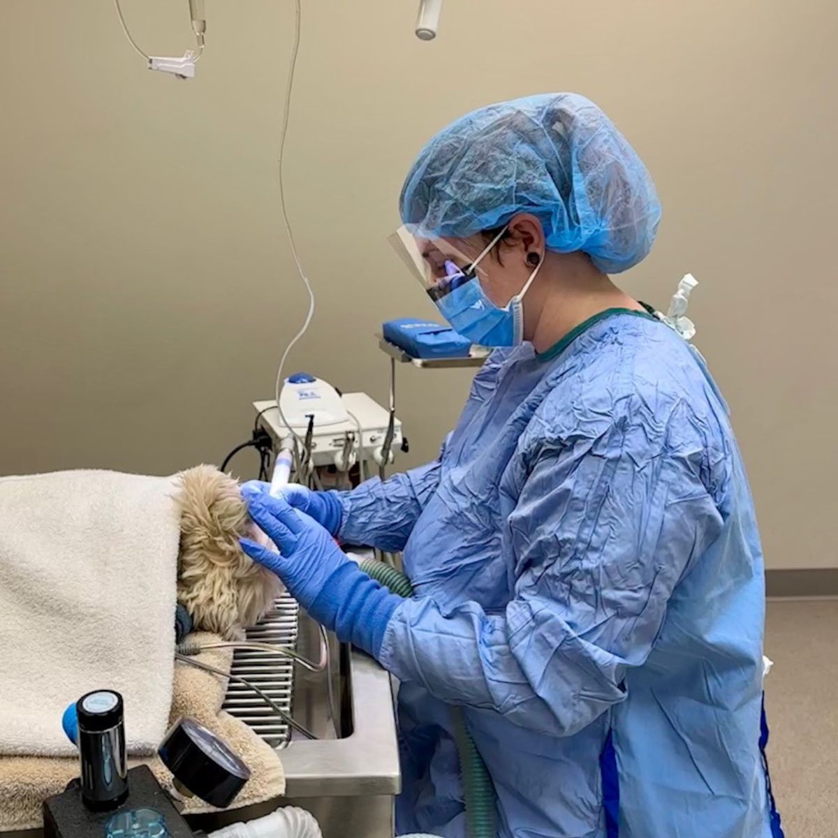 a vet wearing surgical scrubs and a mask holding a syringe to a dog