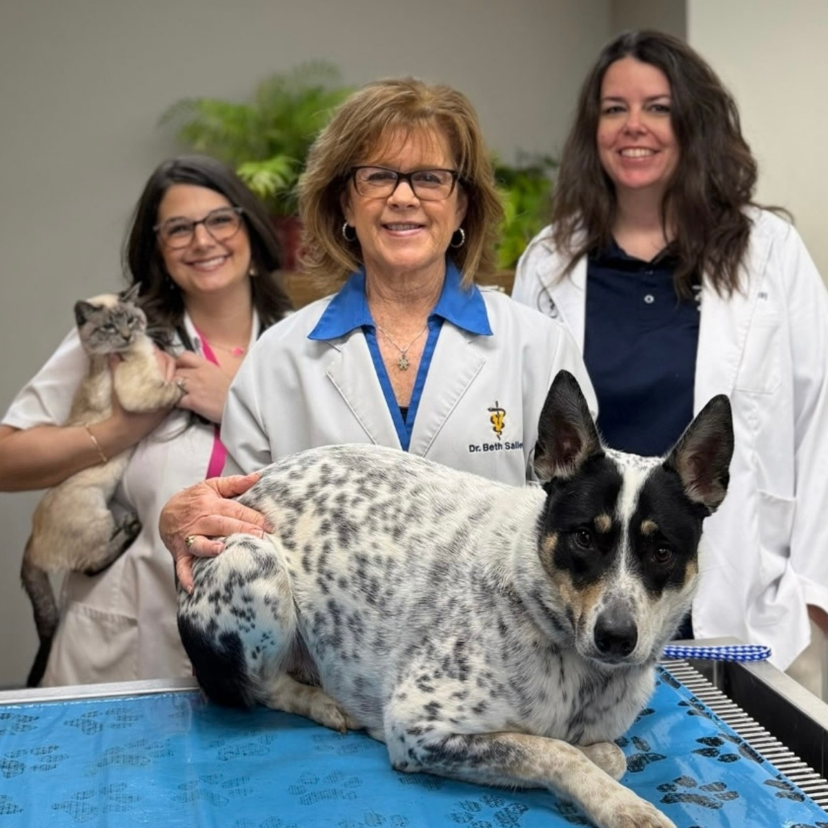 Dr. Beth Sallee and  Dr. Rachael Carpenter hold cat and dog